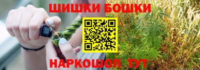 прущие грибы Шахты